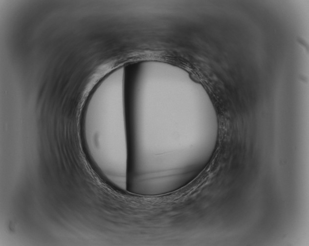 X0000091900006200709051112