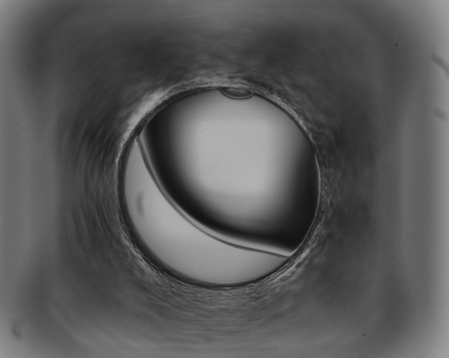 X0000091900008200709051112