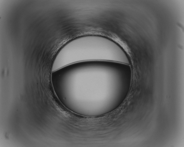 X0000091900009200709051112