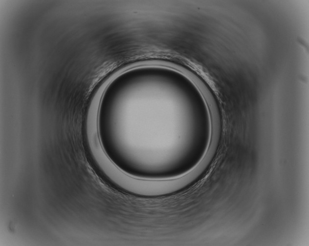 X0000091900010200709051112