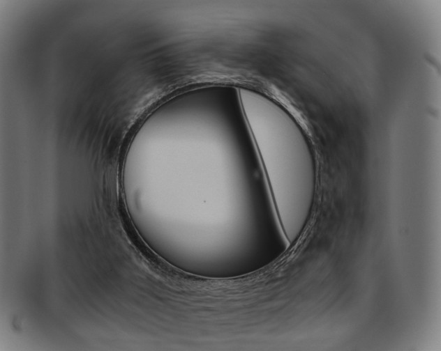 X0000091900011200709051112