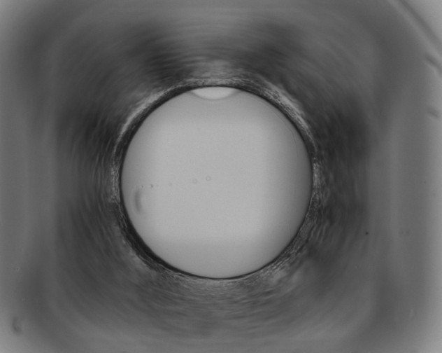 X0000091900012200709051112