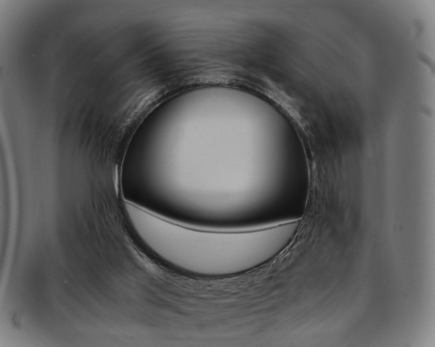 X0000091900013200709051112