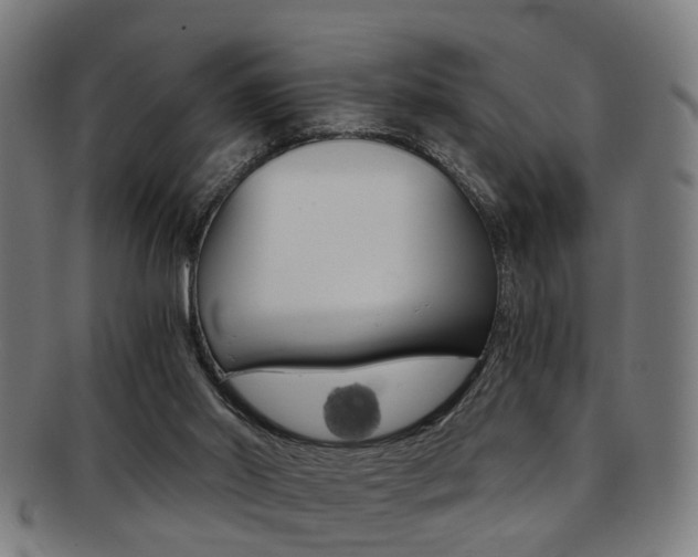 X0000091900014200709051112