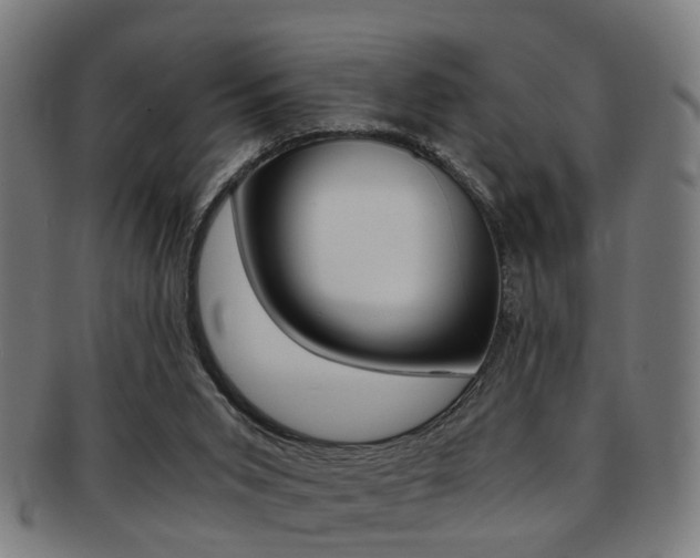 X0000091900015200709051112
