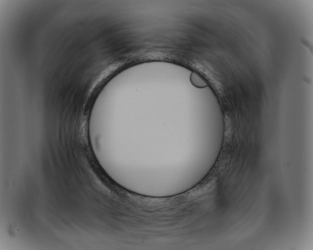 X0000091900016200709051112