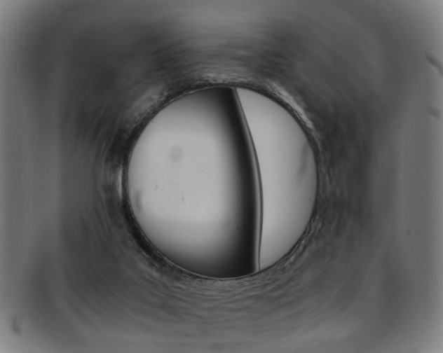 X0000091900019200709051112