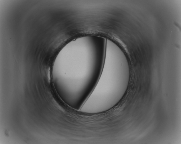 X0000091900020200709051112
