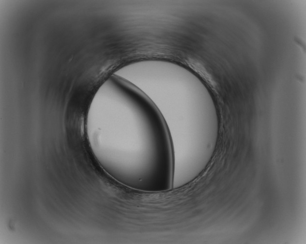 X0000091900021200709051112