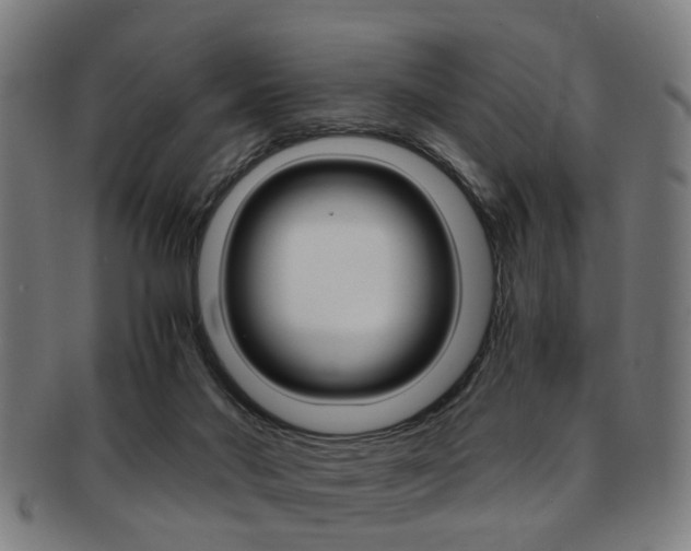X0000091900022200709051112