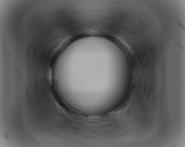 X0000091900024200709051112