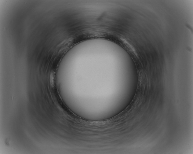 X0000091900026200709051112