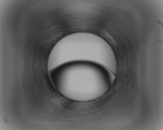 X0000091900029200709051112