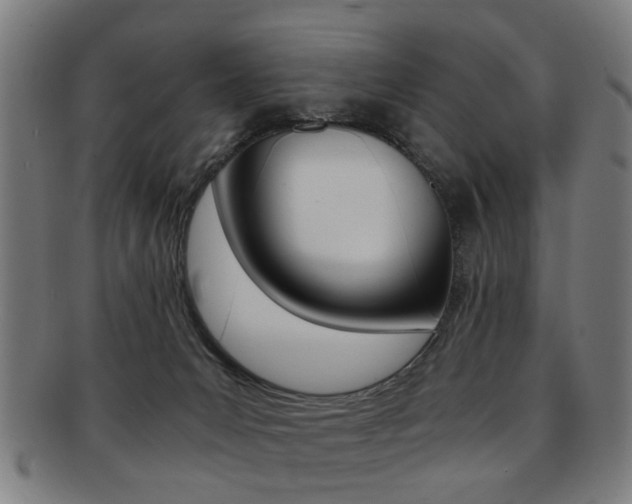 X0000091900031200709051112
