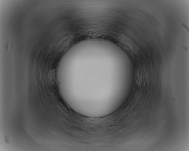 X0000091900034200709051112