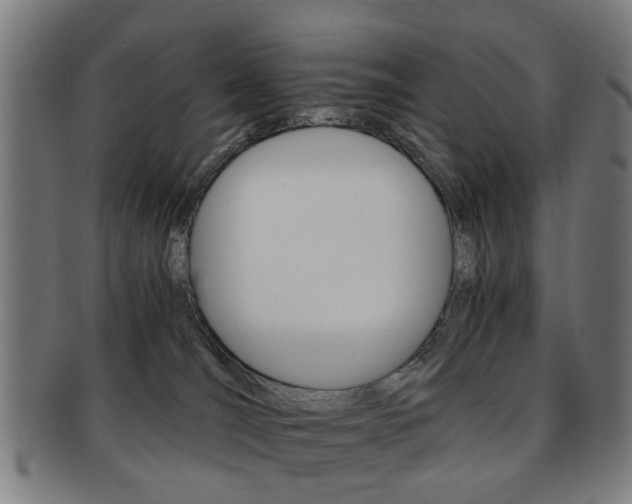 X0000091900036200709051112