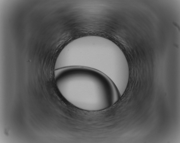 X0000091900039200709051112