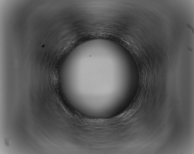 X0000091900040200709051112