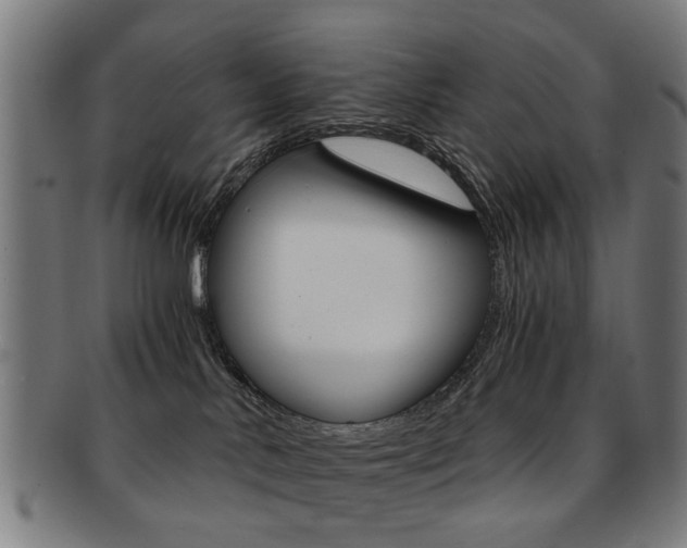 X0000091900042200709051112