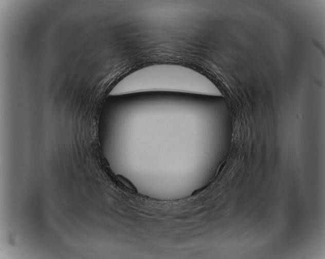 X0000091900043200709051112