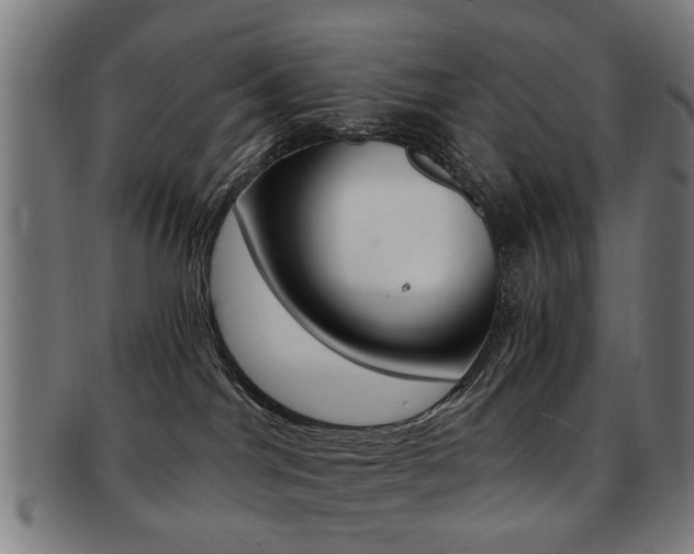 X0000091900044200709051112