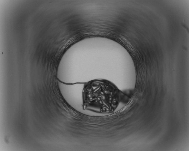 X0000091900045200709051112
