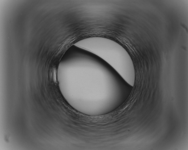 X0000091900046200709051112