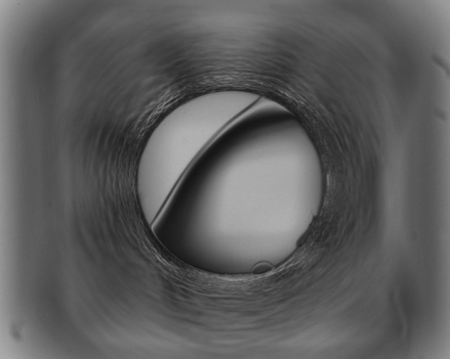 X0000091900048200709051112