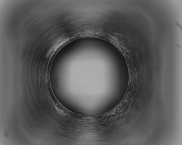X0000091900050200709051111