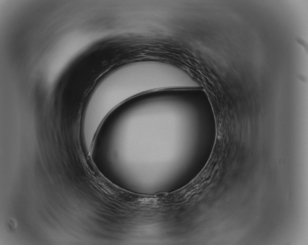 X0000091900052200709051111