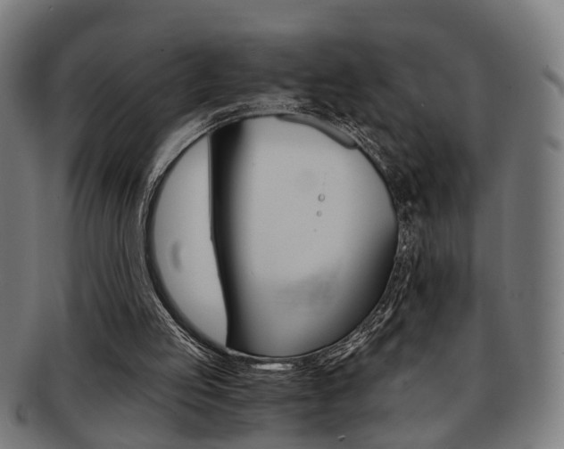 X0000091900053200709051111