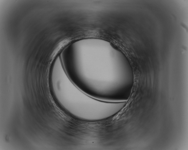 X0000091900054200709051111