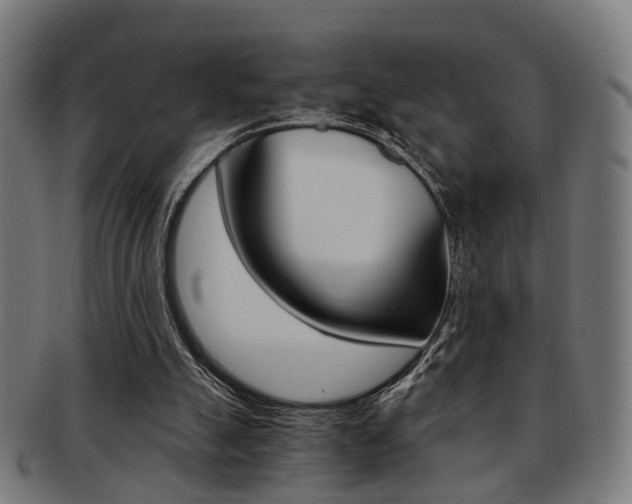 X0000091900055200709051112