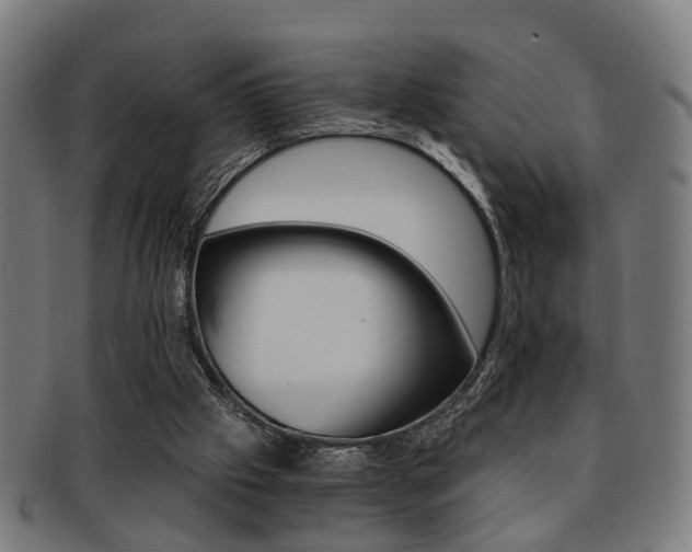 X0000091900057200709051112