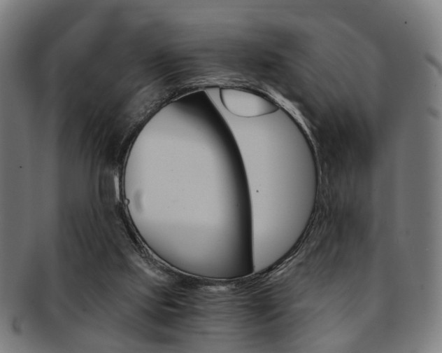 X0000091900061200709051112