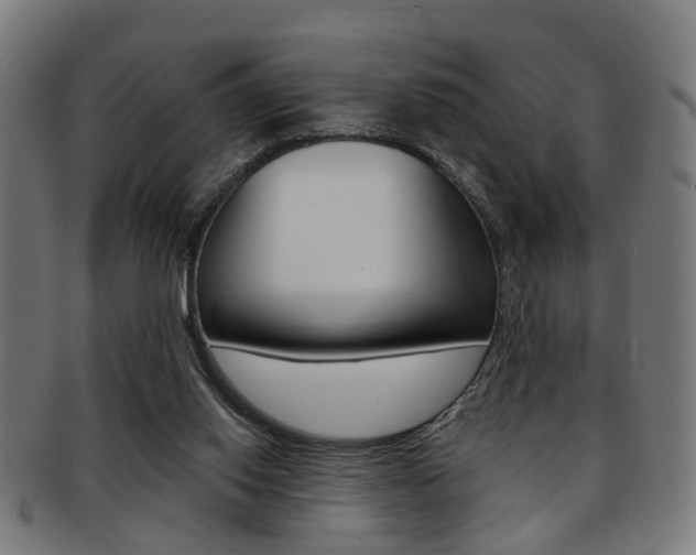 X0000091900062200709051112