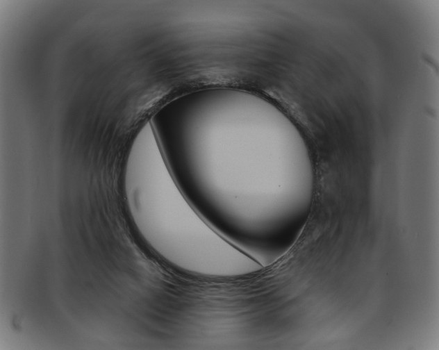 X0000091900066200709051112