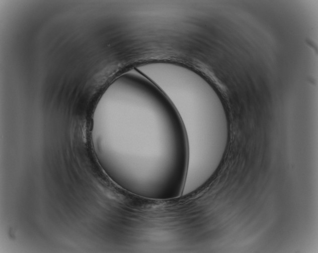 X0000091900068200709051112