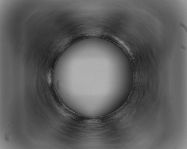 X0000091900069200709051112