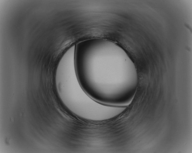 X0000091900072200709051112