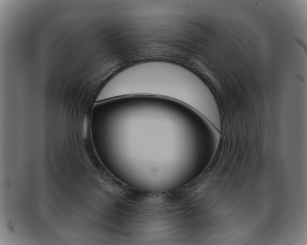 X0000091900076200709051112