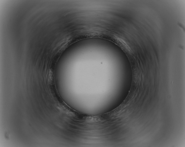 X0000091900077200709051112