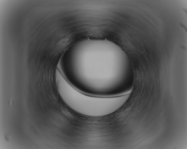 X0000091900080200709051112
