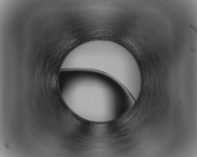 X0000091900081200709051112