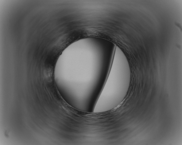 X0000091900082200709051112