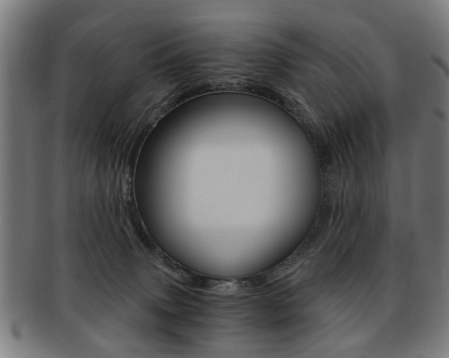 X0000091900083200709051112