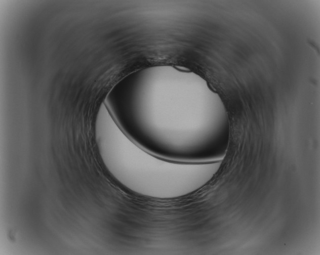 X0000091900085200709051112