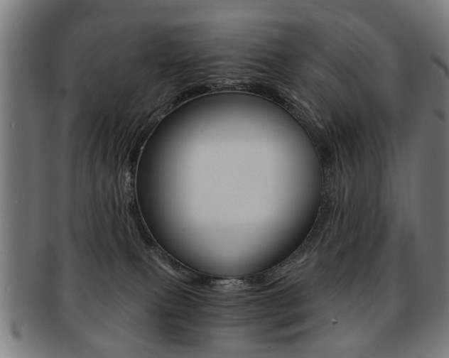X0000091900087200709051112