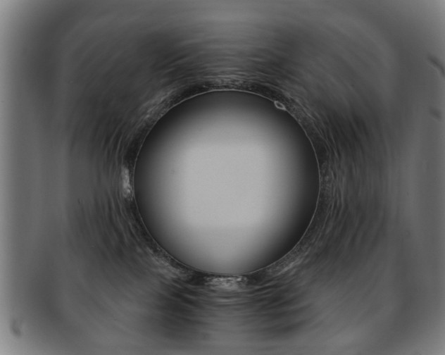 X0000091900089200709051112