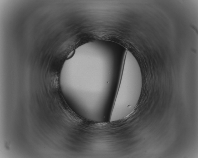 X0000091900090200709051112